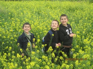 spring hike 3 boys resized