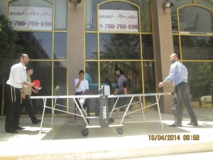 family ping pong