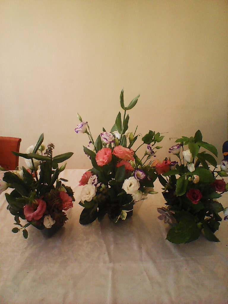 shavuos flowers 2